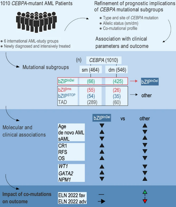 Impact of CEBPA mutation patterns on prognosis in adults with acute myeloid leukemia (AML)