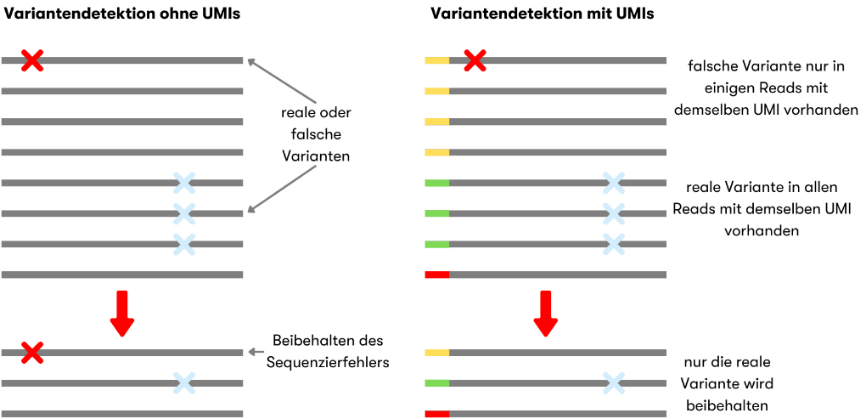 Abbildung 1: Variantendetektion mit und ohne UMI