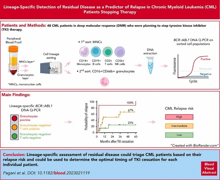 Lineage-specific detection of residual disease predicts relapse in patients with chronic myeloid leukemia stopping therapy.