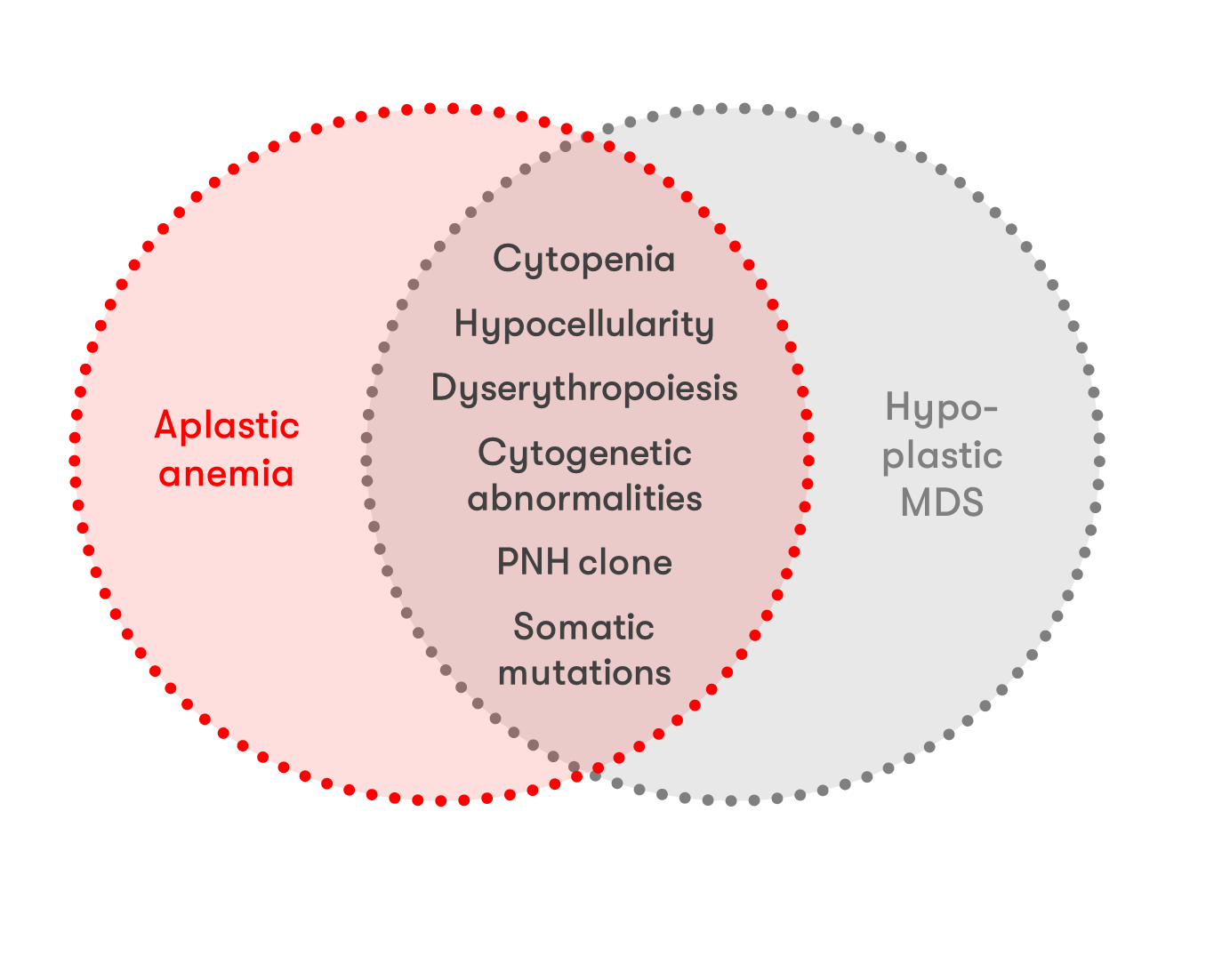 Anemia aplastic Aplastic Anemia